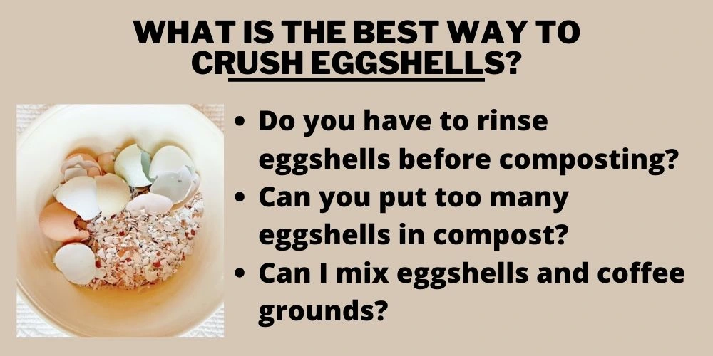 What is the best way to crush eggshells?