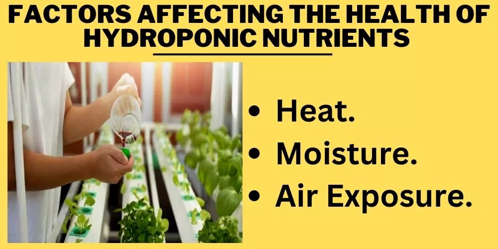 Factors Affecting the Health of Hydroponic Nutrients 