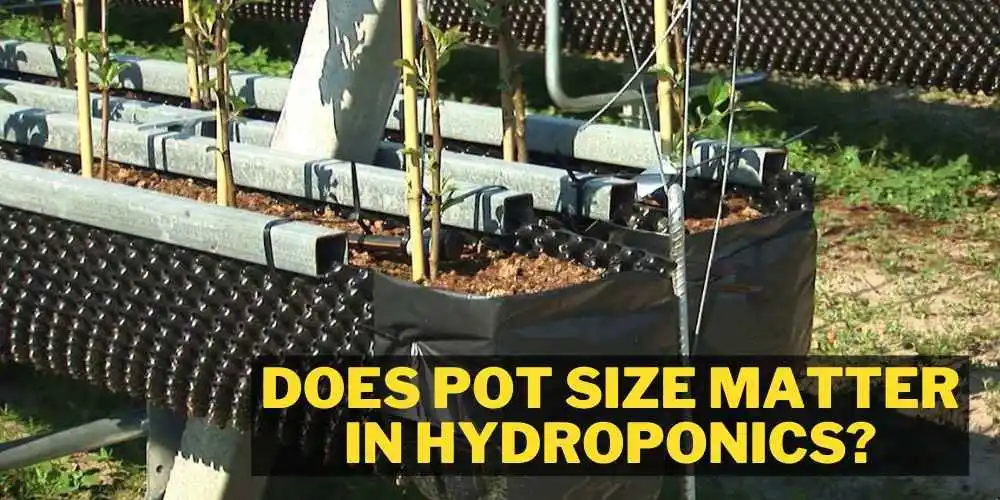 does pot size matter in hydroponics