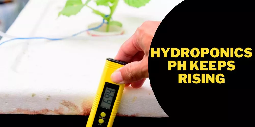 Hydroponics ph keeps rising