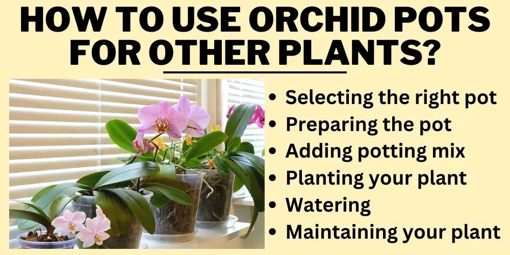 How to Use Orchid Pots for Other Plants