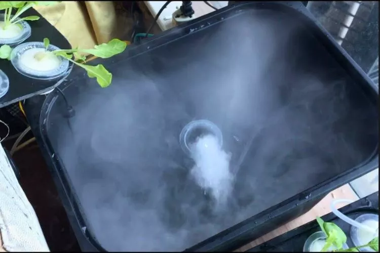 How does a Fogger work in Aeroponics