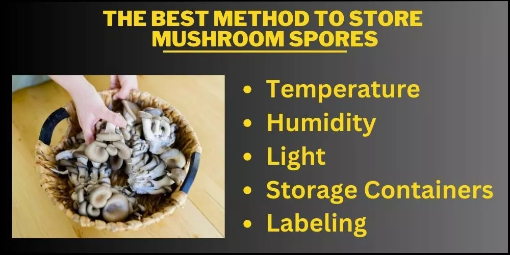The best method to store mushroom spores